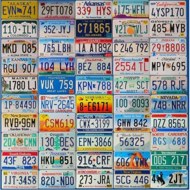 All 50 States Plate Set United States License Plate Art